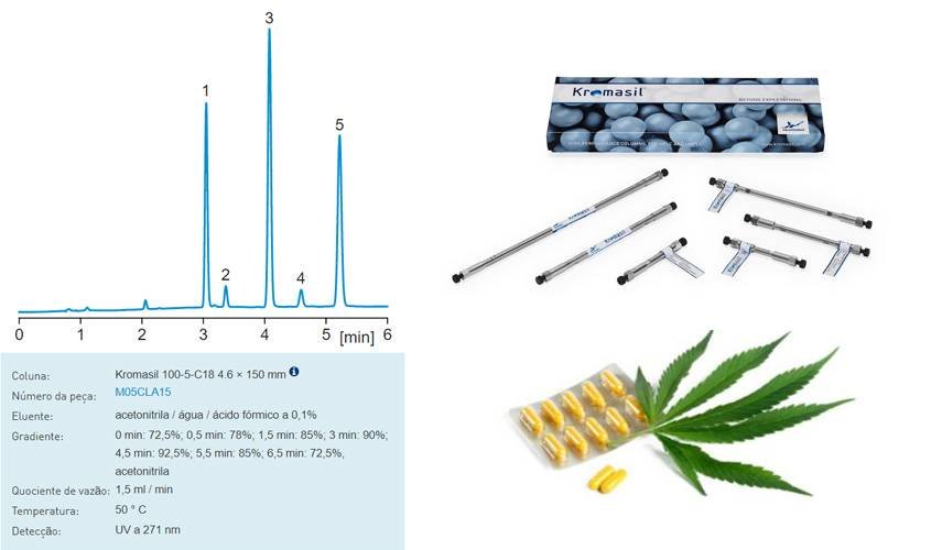 Anvisa libera comercio de produtos à base de cannabis em farmácias Anvisa libera comercio de produtos à base de cannabis em farmácias