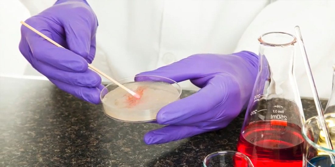 swab-estéril-para-coleta-de-amostra-