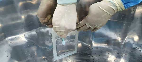 swab validação de limpeza