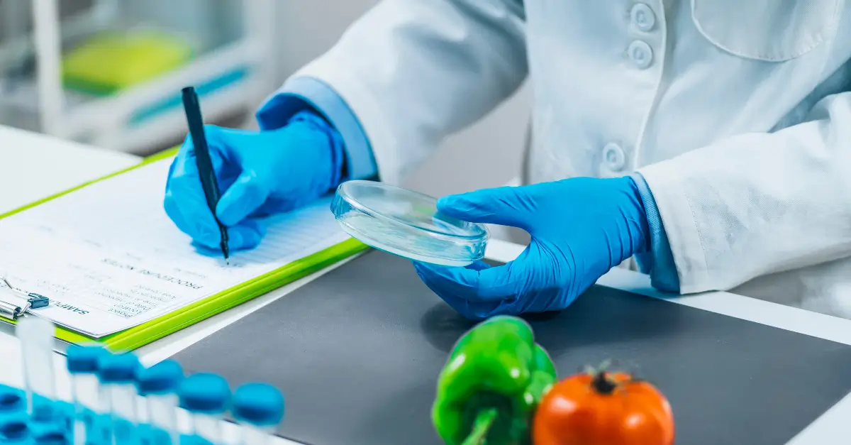 Segurança-alimentar-e-Segurança-dos-alimentos-saiba-a-diferença